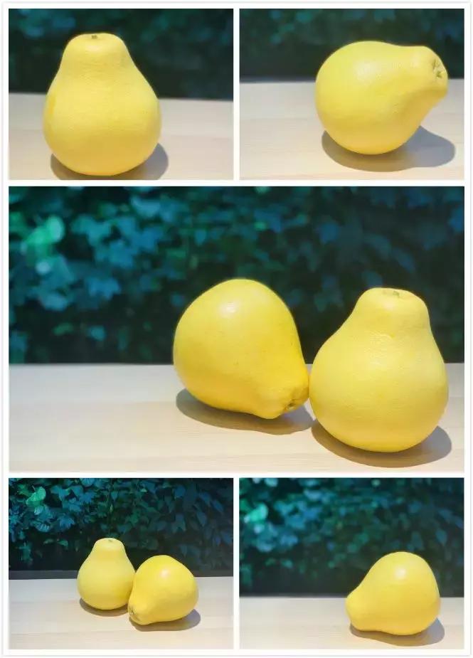 井冈蜜柚甜味不够,你们爱吃井冈蜜柚吗