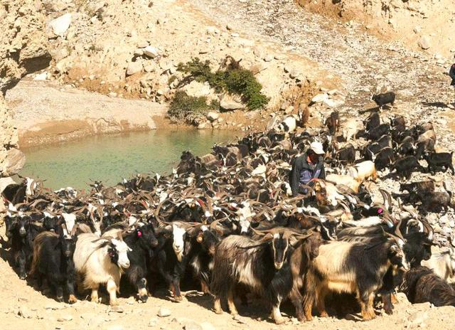 印度神学体系解说,印度的神学