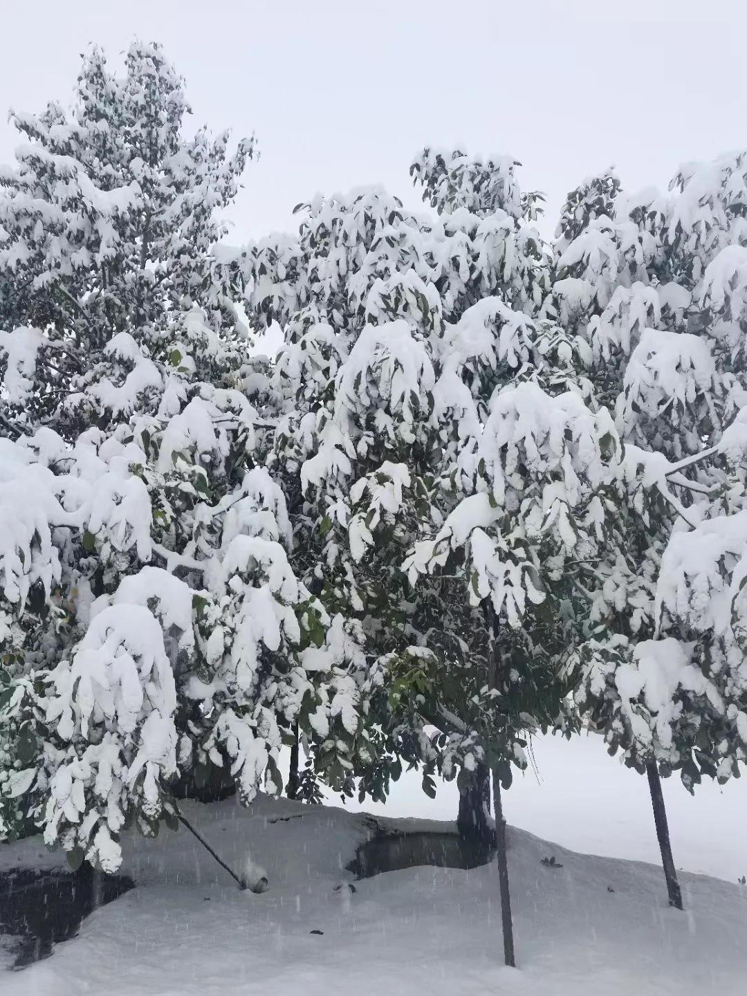 平凉崆峒区四路车现在停运了吗,平凉长途客车停运了吗