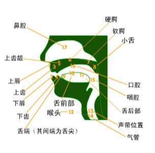提高英语口语技巧的英语,学习英语口语的最佳方法