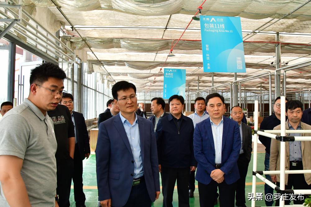 一季度经济形势分析会交流发言,一季度经济形势分析会2023讲话