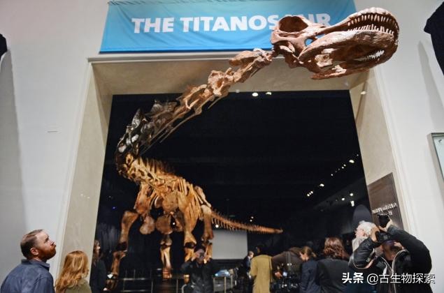 巴塔哥尼亚的巨兽纪录片,巴塔哥泰坦龙介绍