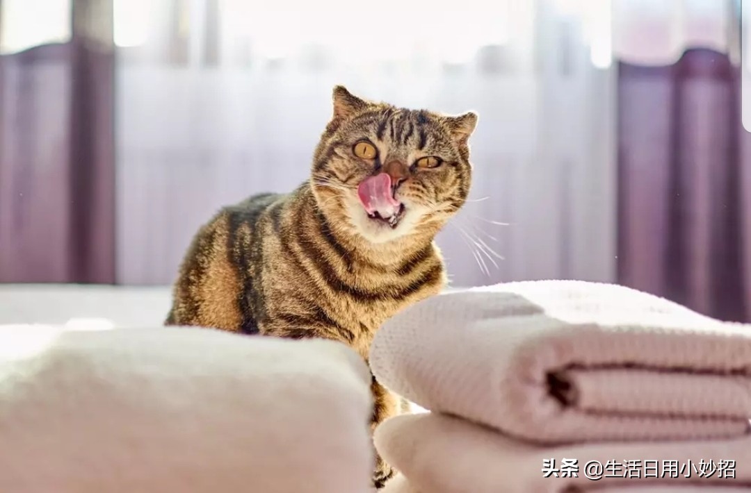 毛巾发黄怎么让它洁白如新,如何洗白毛巾洁白如新