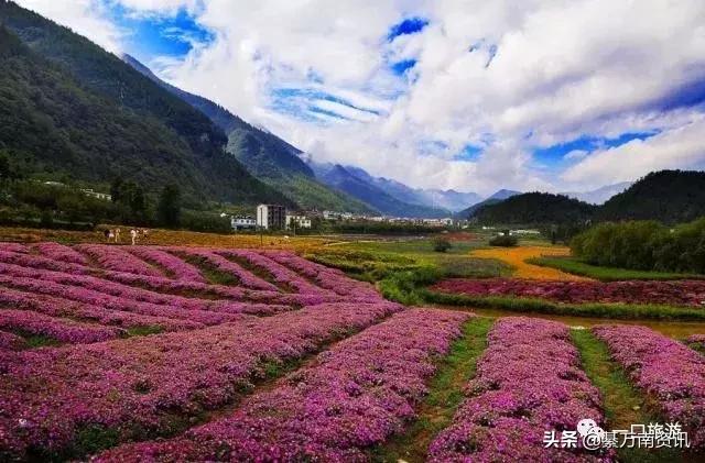 万州和涪陵的gdp,重庆涪陵区gdp排名