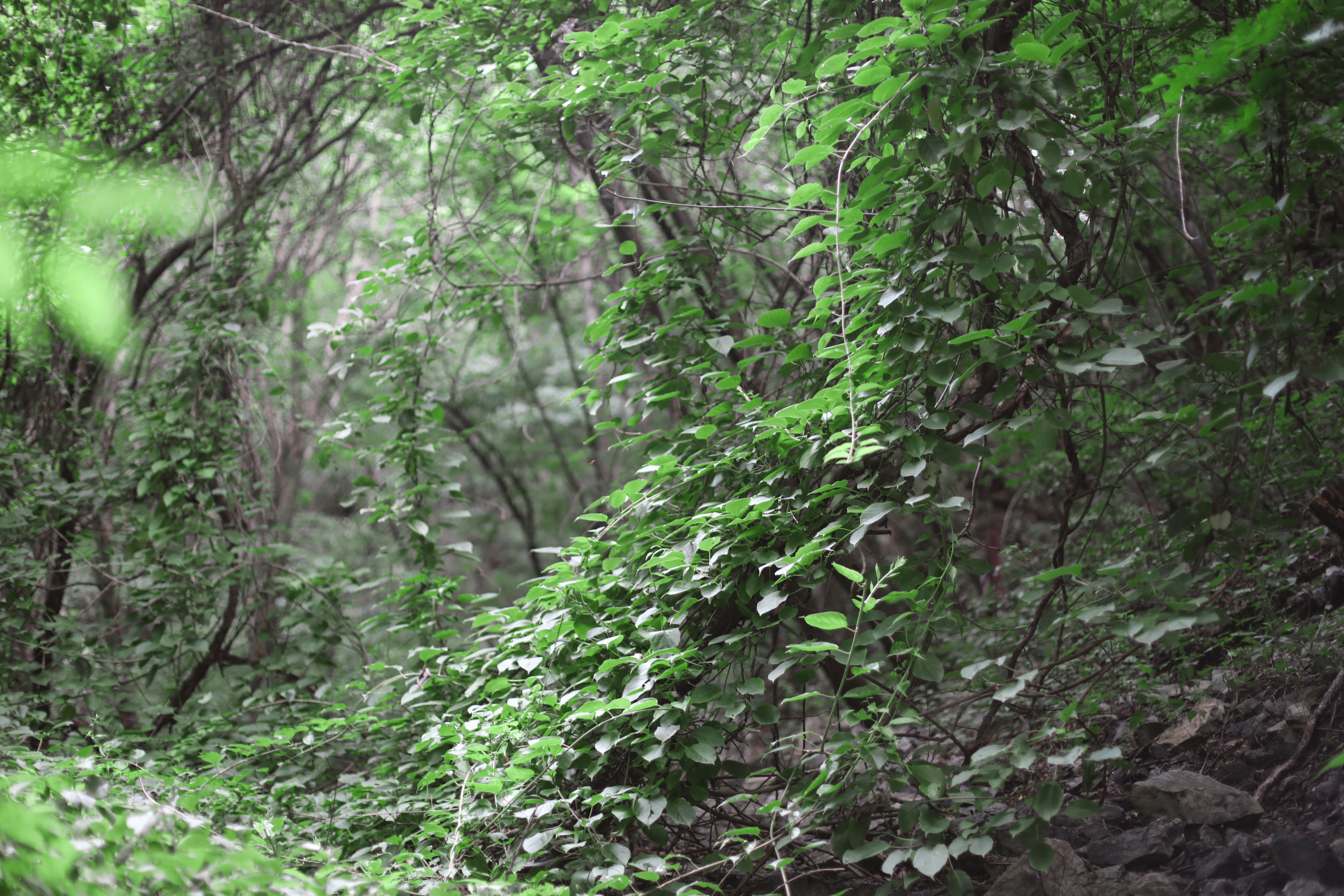 京郊十条登山步道推荐,房山蝴蝶谷登山步道