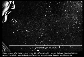 新冠病毒超光速传播,新冠病毒的传播力下降了吗