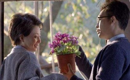 鸡毛飞上天做人道理,鸡毛飞上天诚实守信