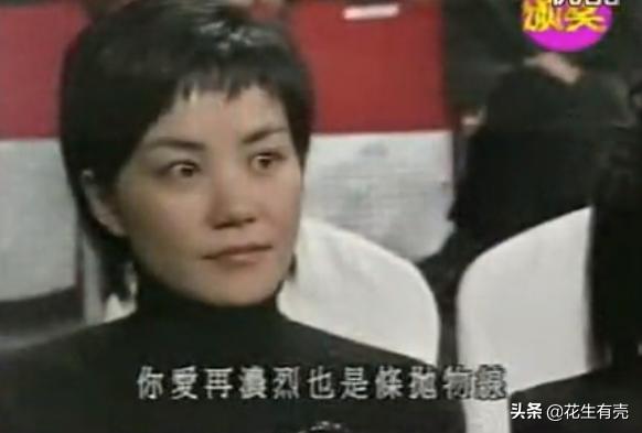 揭秘谢霆锋张柏芝离婚的七大原因,揭秘谢霆锋和张柏芝离婚的原因