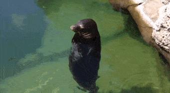 这届年轻人有多清醒,这届年轻人怎么爱上吸熊猫的