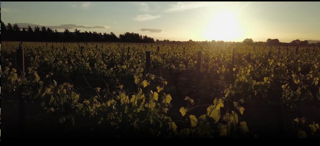 维诺卡夫cwc-280a红酒柜,维诺卡夫红酒柜说明书