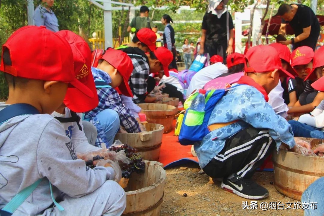 张裕卡斯特酒庄研学,探秘研学活动