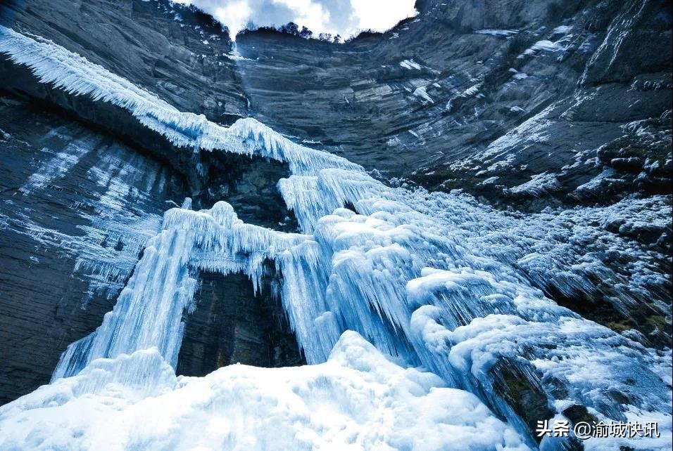重庆无症状感染者最新情况,重庆无症状感染者在哪个区
