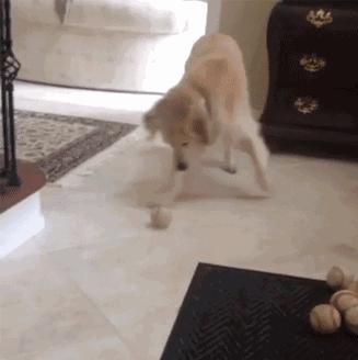 重庆人会说不会写的字,重庆那些能听懂但写不出来的话