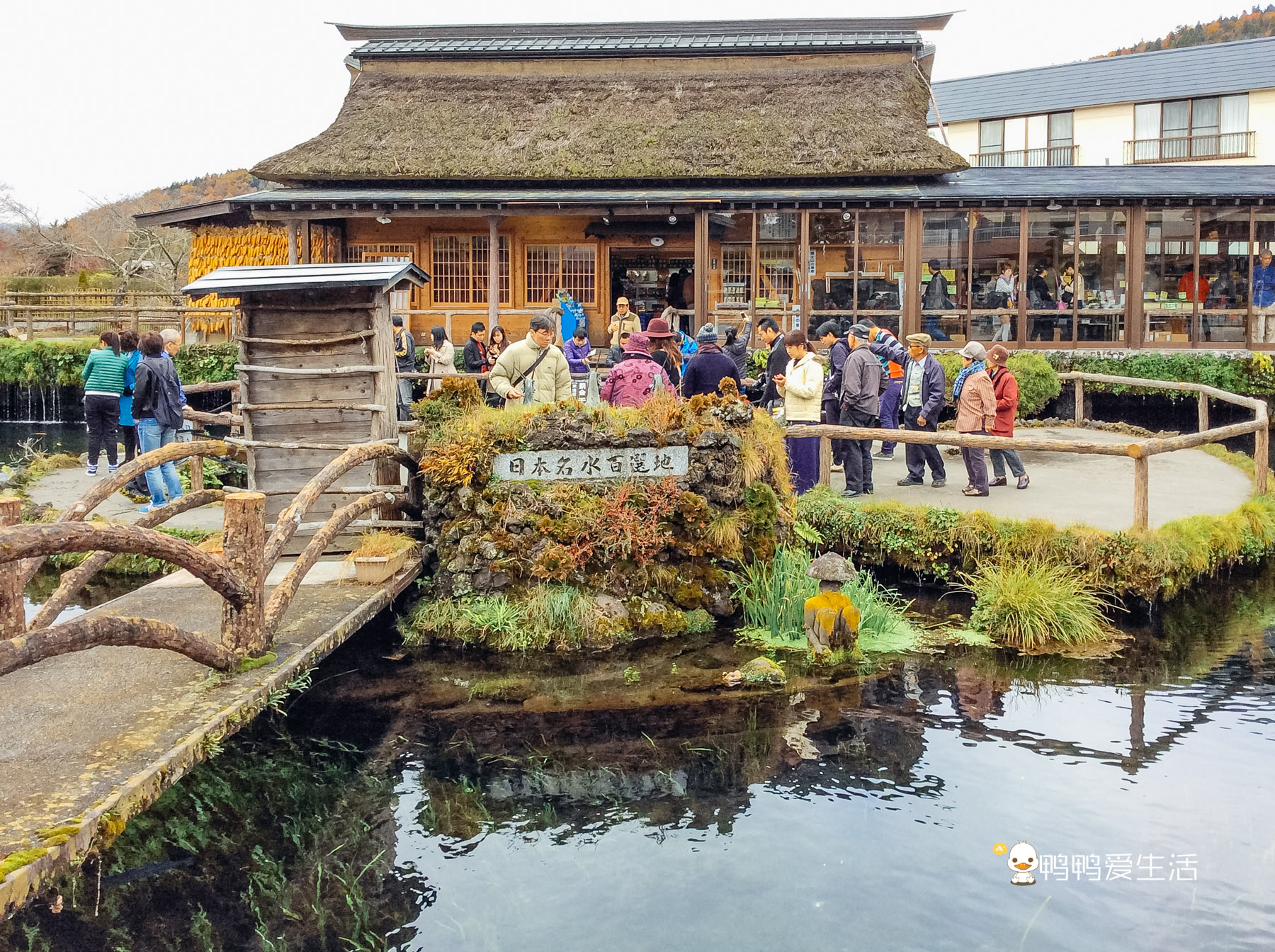日本“小九寨”藏在富士山下,5月起繁花盛开,还能把泉水带回家