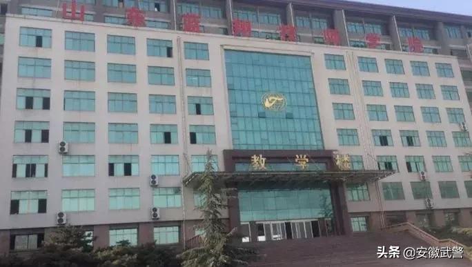 挖掘机技术哪家强现在,军用挖掘机技术哪家强