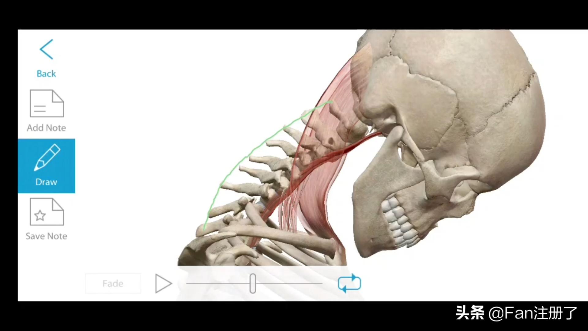 颈项痛怎么舒缓,什么病会导致颈项部疼痛
