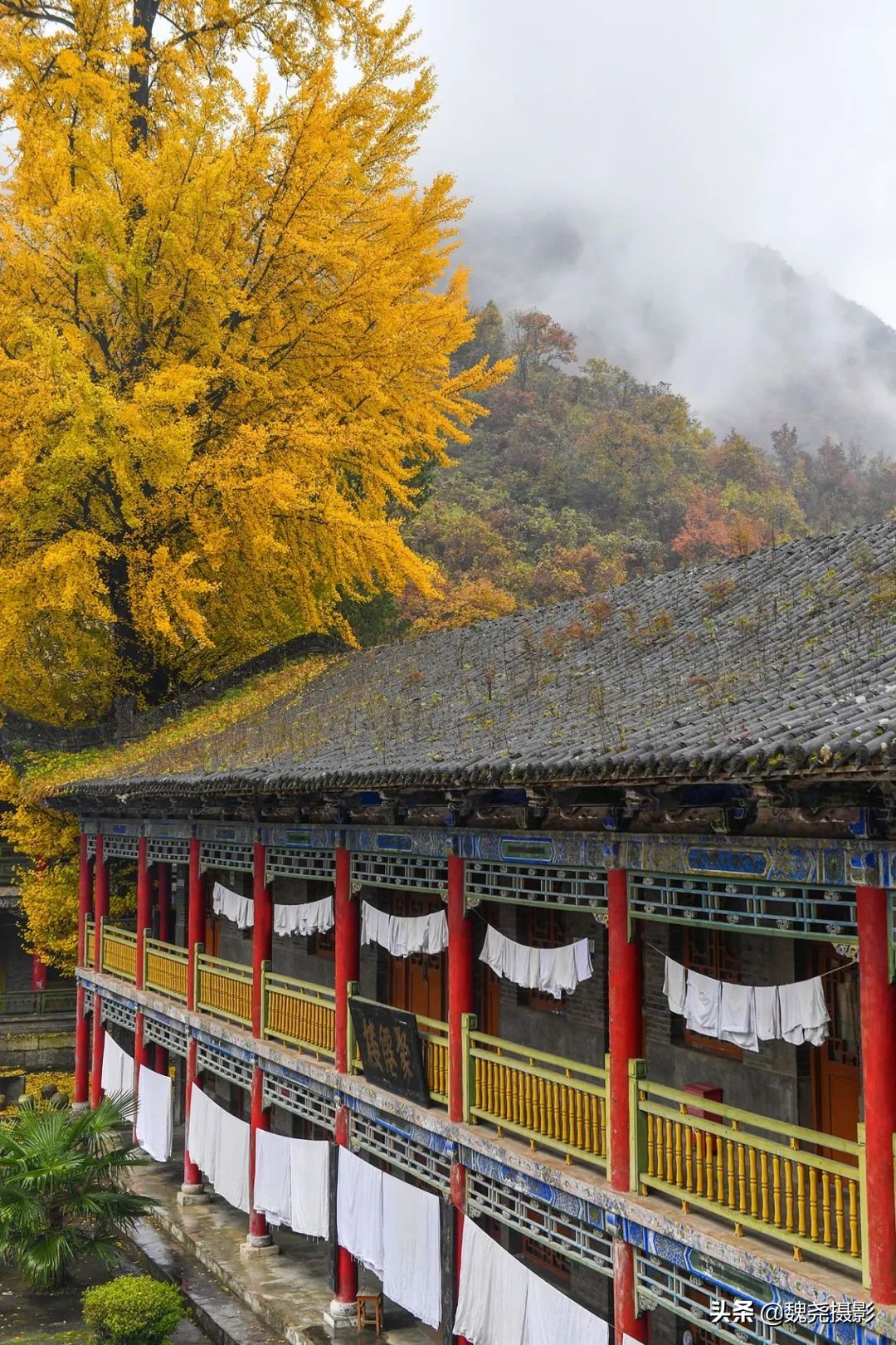 留坝秦岭之夜,留坝秦岭森林公园