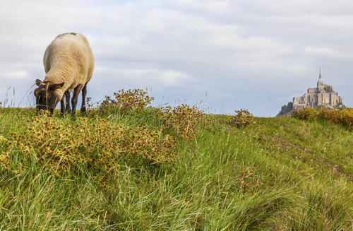 中世纪欧洲教会为什么地位高,欧洲中世纪教会为什么那么大权力