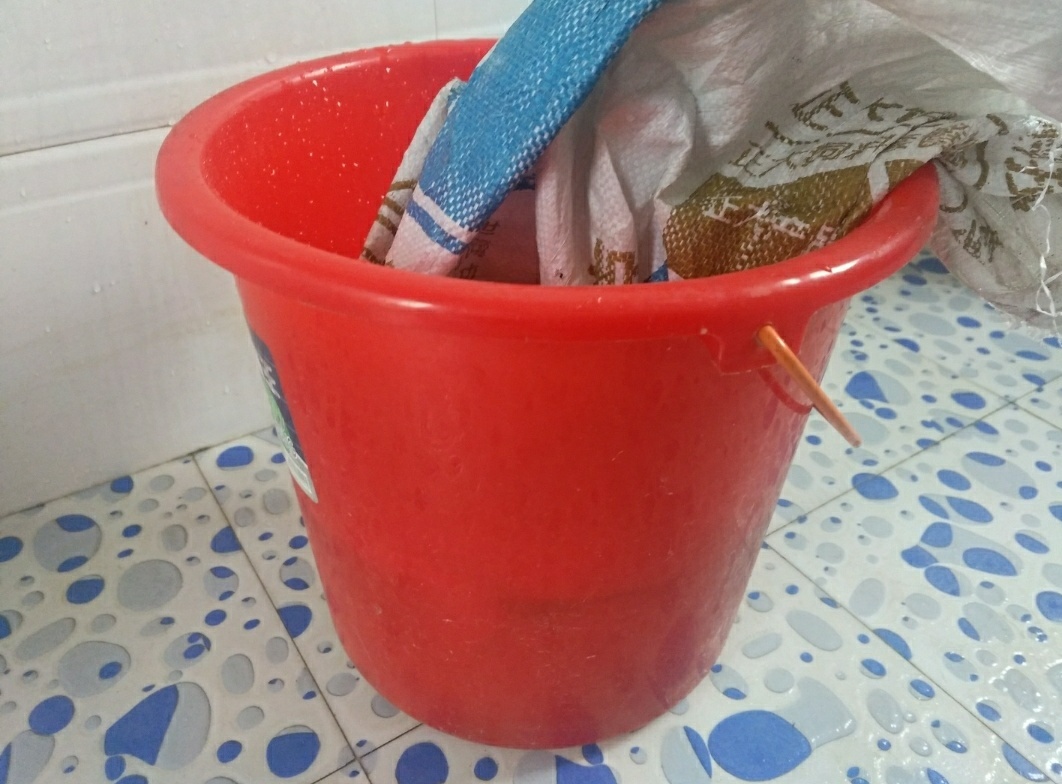 秧田壮苗促根用什么好,旱地育秧苗种植技术