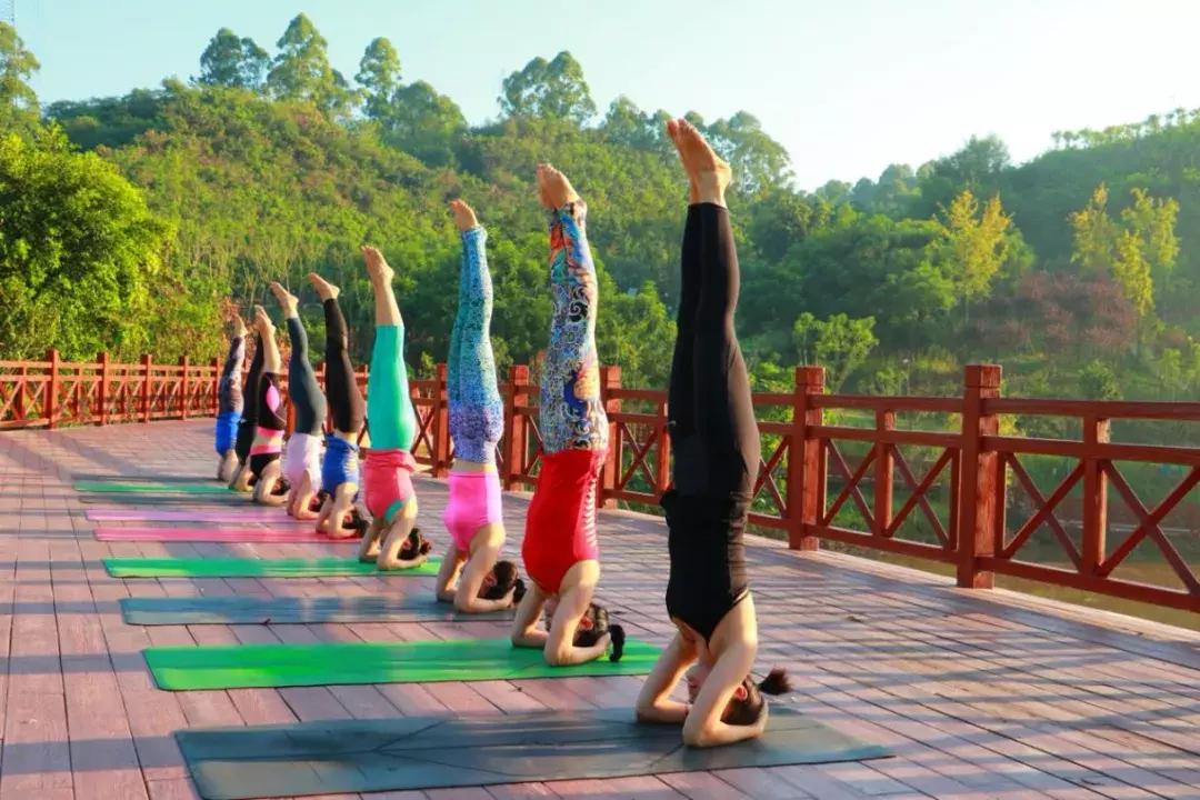 乐山市生态文明,庆祝新中国成立70周年特辑宣讲