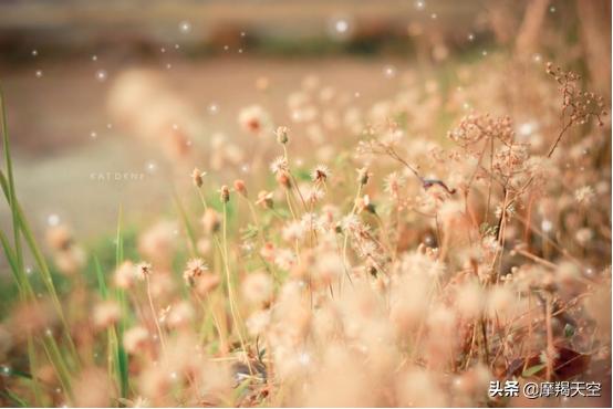 摩羯女能忍住多久不联系,明明很惦记却不敢联系