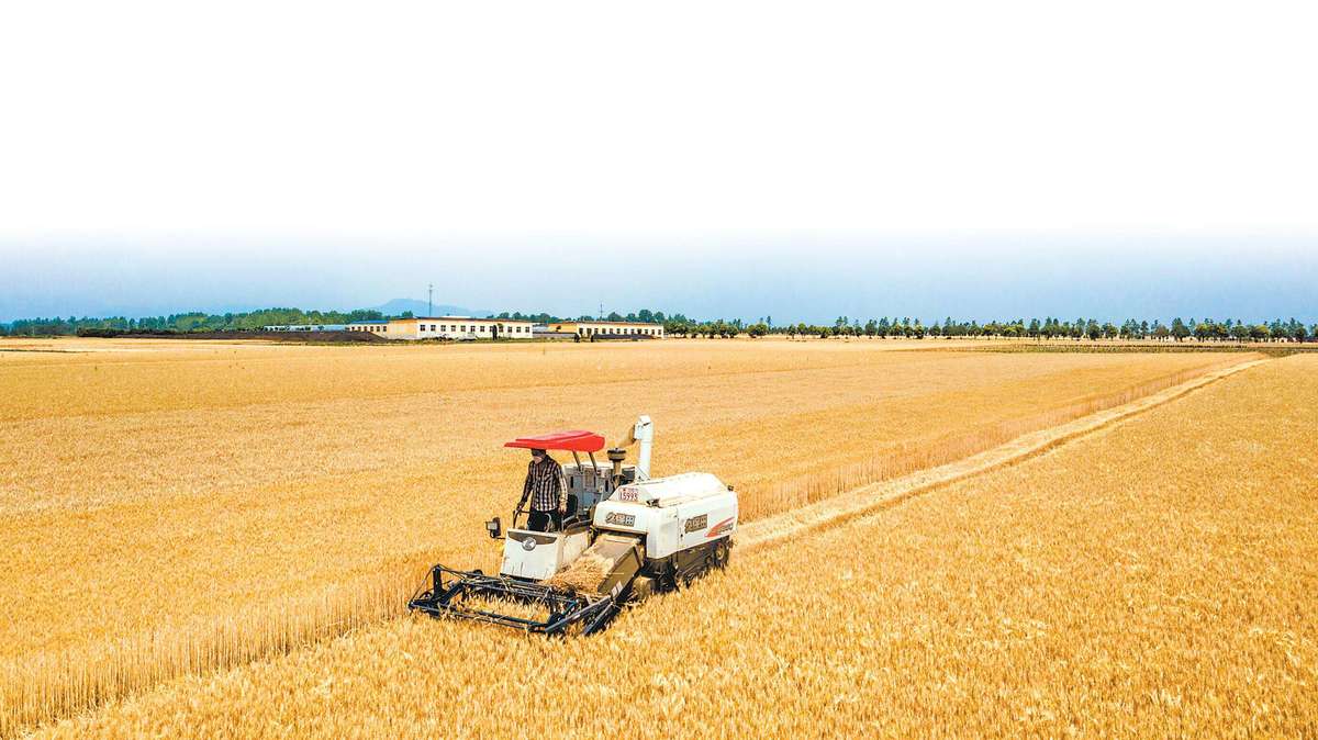 河南被低估的宝藏旅行地,河南一个被误解的城市