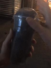 猫的本质是液体，不信看这里，萌化你