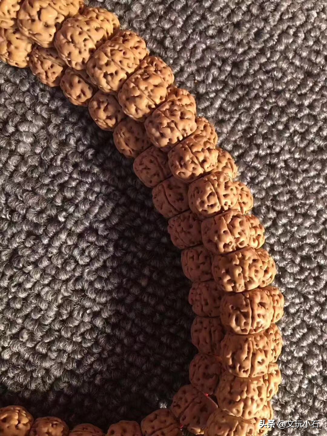 如何避免金刚菩提断齿,霸王花金刚菩提断齿吗