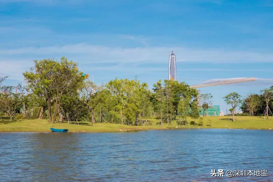 深圳有哪些地方免费景点,深圳都有什么景点免费游玩