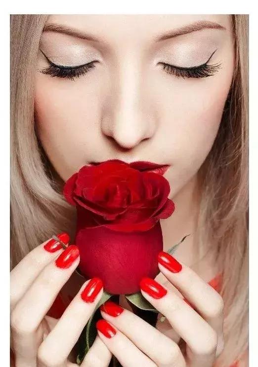 鲜花为什么最爱这一口！｜花呆子的荷兰鲜花游记（二）