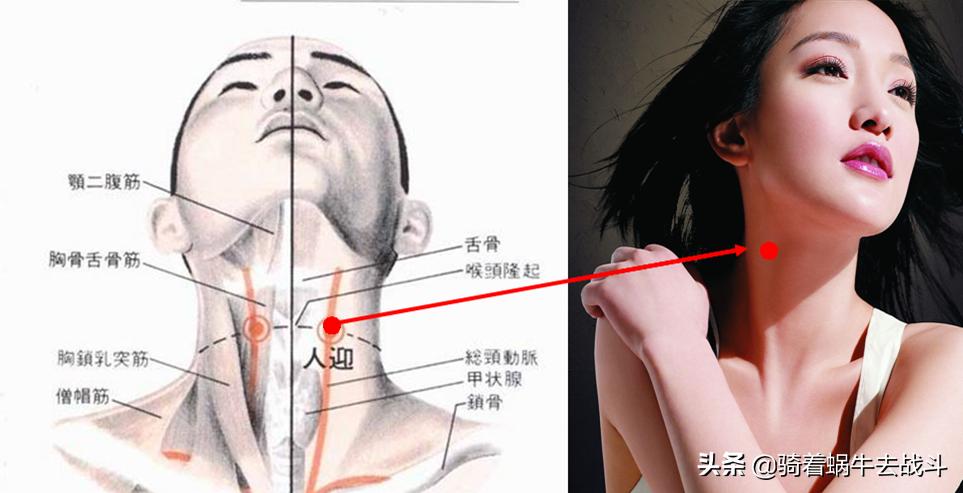 按摩胃经的正确手法和时间,按摩胃经穴有什么好处