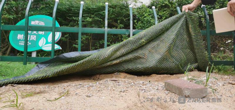 南昌各小区绿化,南昌绿地绿化