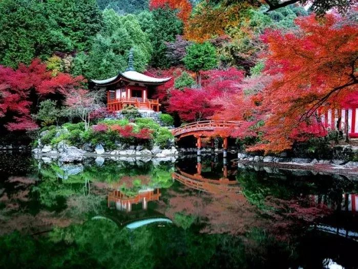 盘点那些年我看过的日本美景,日本美景8k超高清