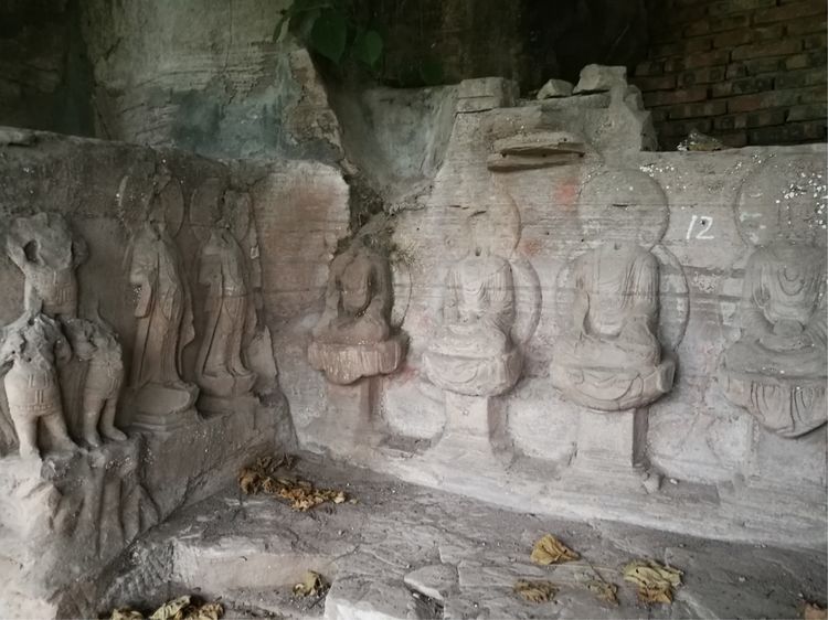 找个去仓山的理由