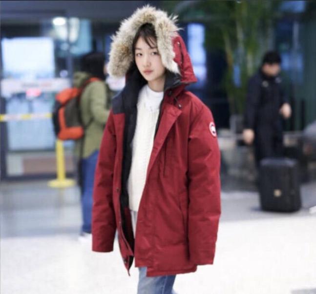 上万的加拿大鹅,一万块的加拿大鹅是真的吗