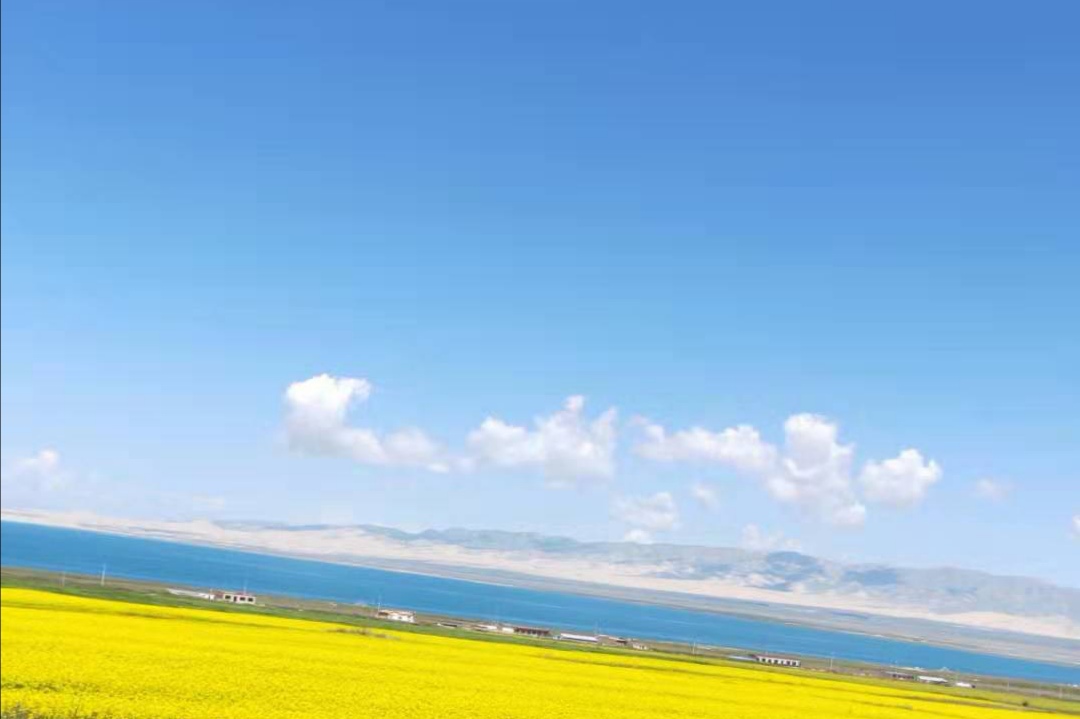 青甘大环线高反,旅游青甘大环线