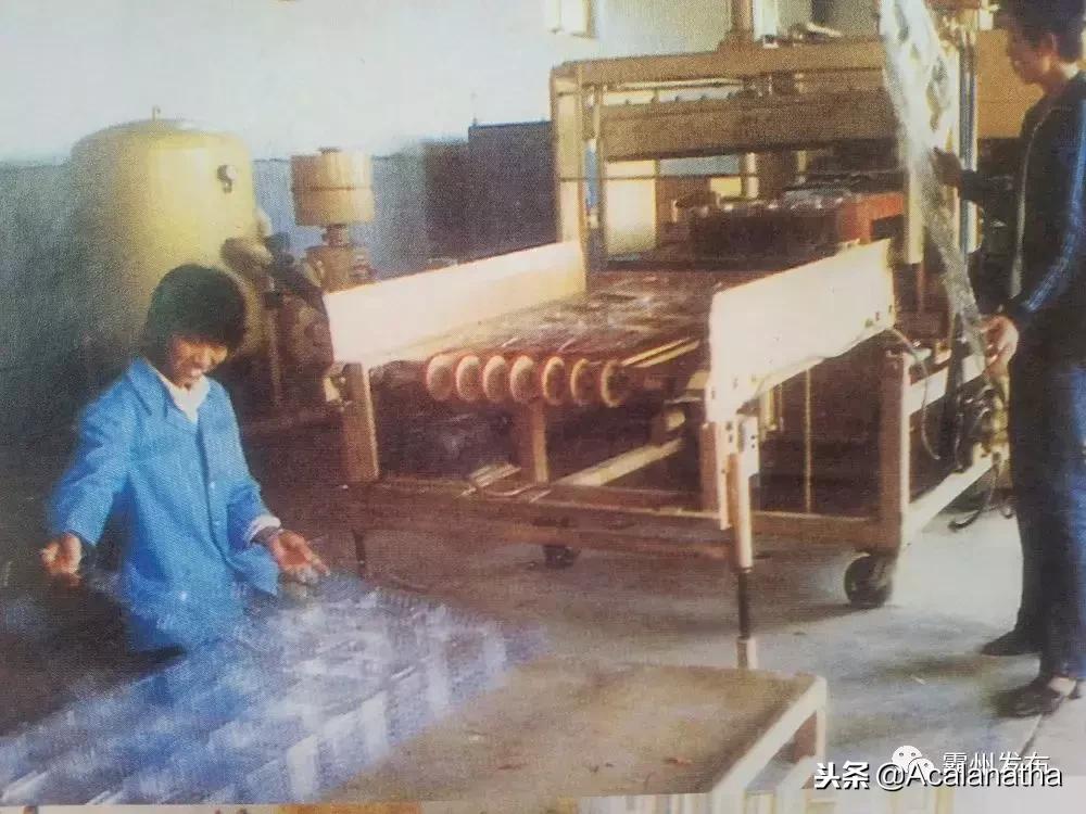 霸州土产公司老照片,霸州老城区图片