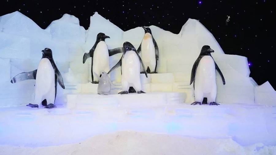 小梅沙海洋公园海底世界开放了吗,小梅沙海洋公园海底世界