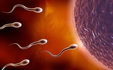 哪个app能准确推算排卵期避孕,哪个牌子测排卵期比较准一点