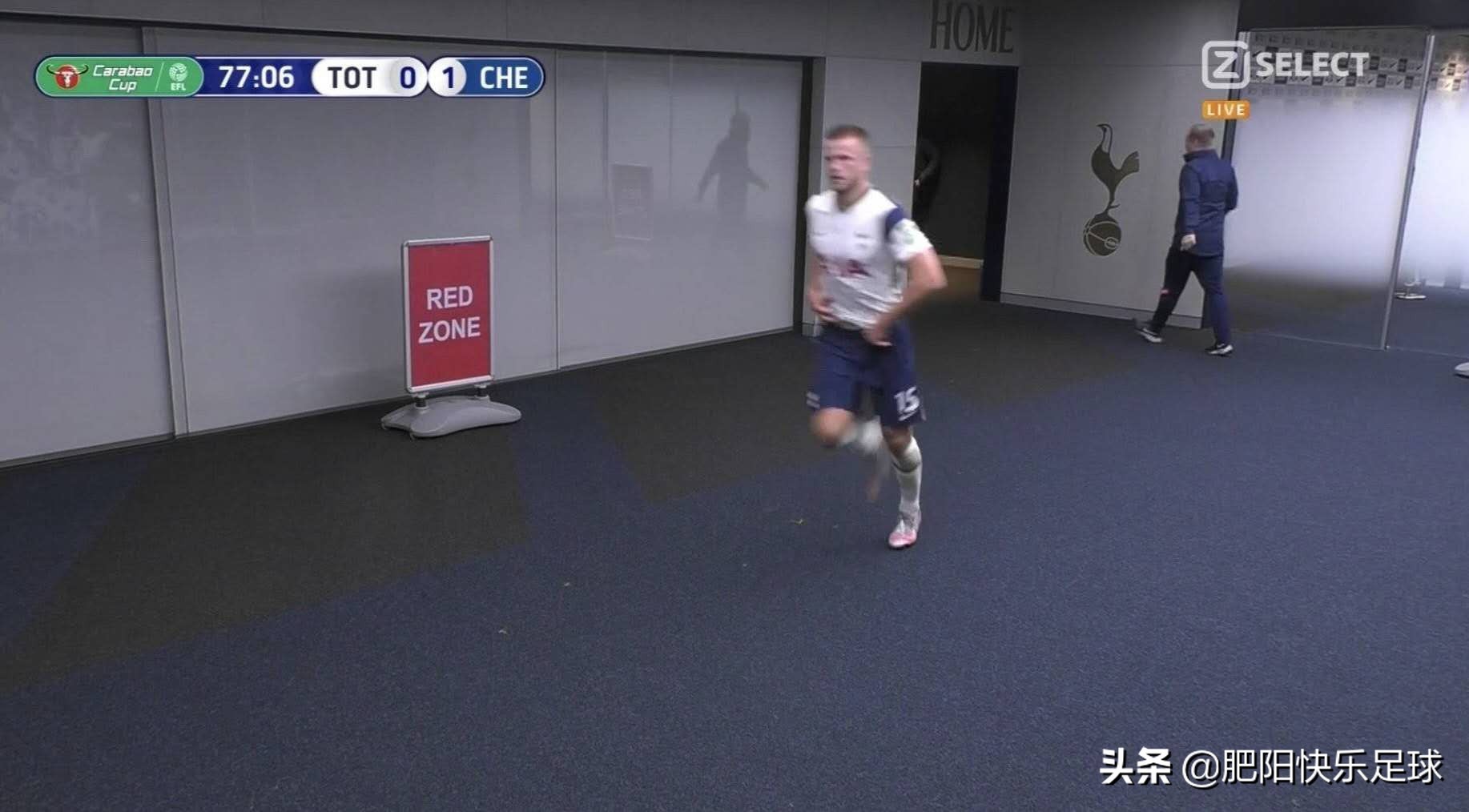 拉梅拉在热刺什么水平,拉梅拉和凯恩的区别