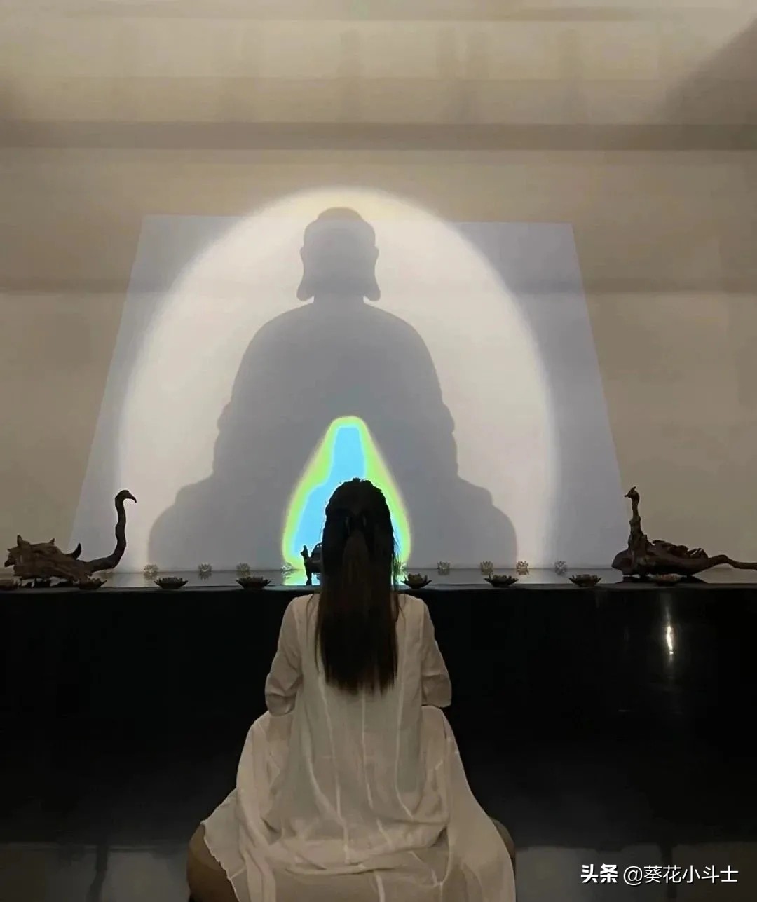 迷惑行为大赏印度,迷惑行为大赏公主抱