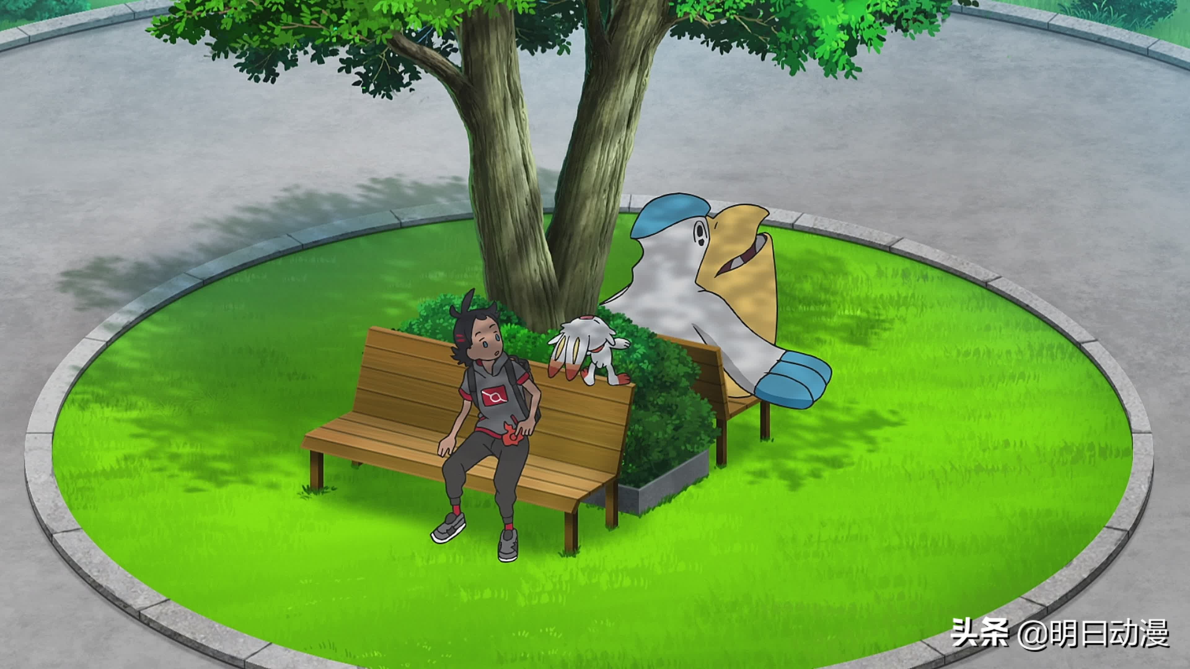 小智教小精灵技能,小智训练喷火龙