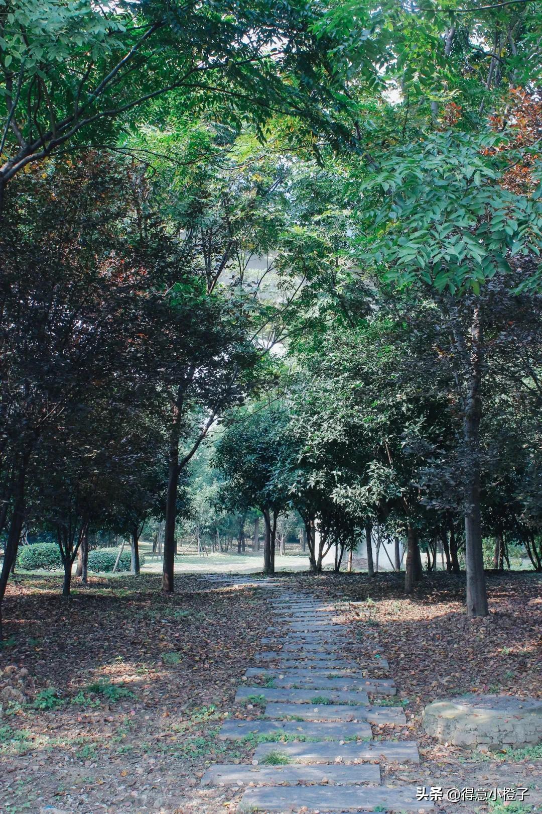 口袋公园有多少个,口袋公园一般多大面积