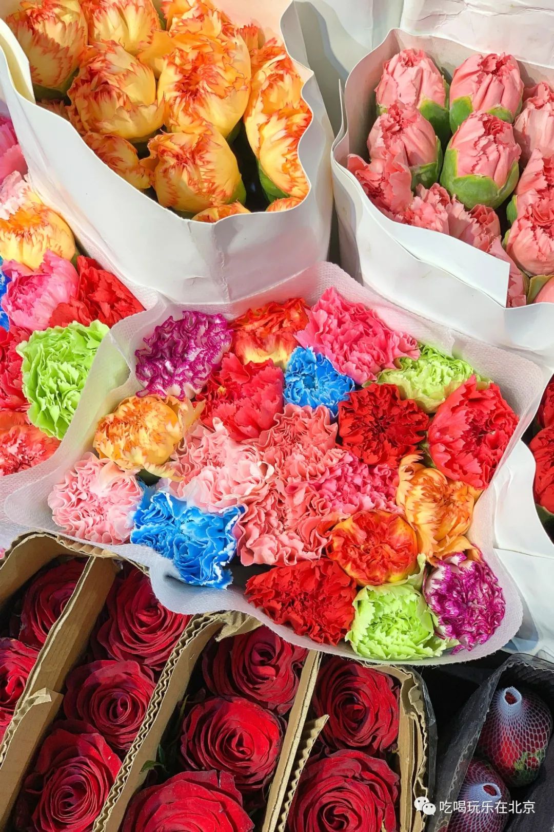 北京花市攻略大全,北京最美赏花景点