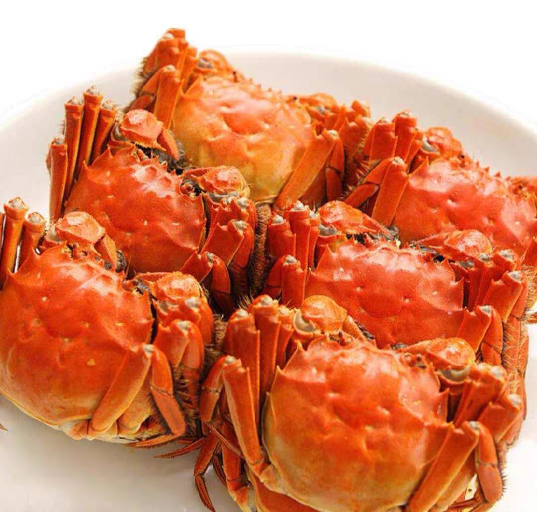 液氮速冻螃蟹新鲜吗,冷冻螃蟹的正确处理方法