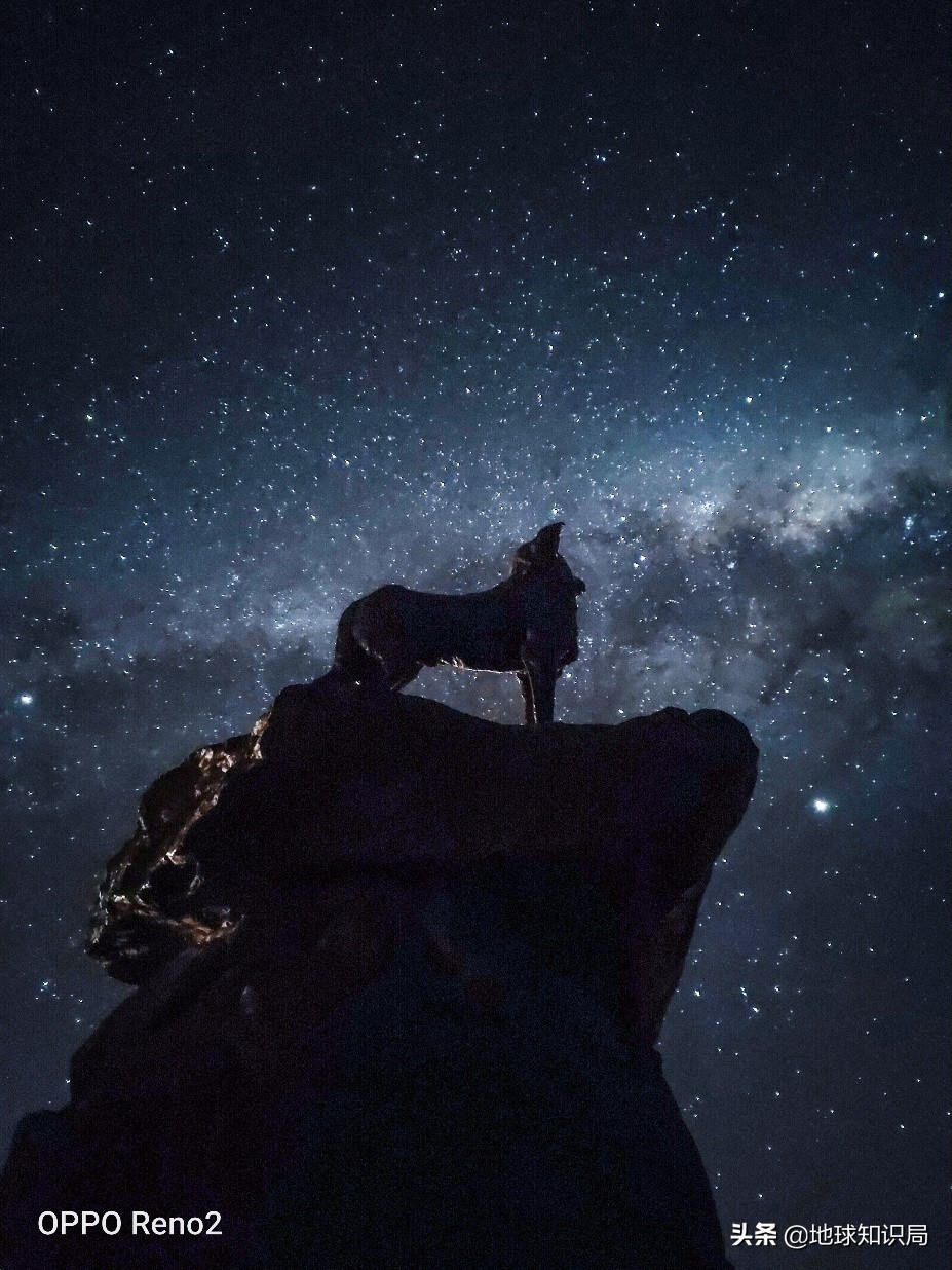 新西兰为什么要吸引人移民,新西兰为什么引进移民