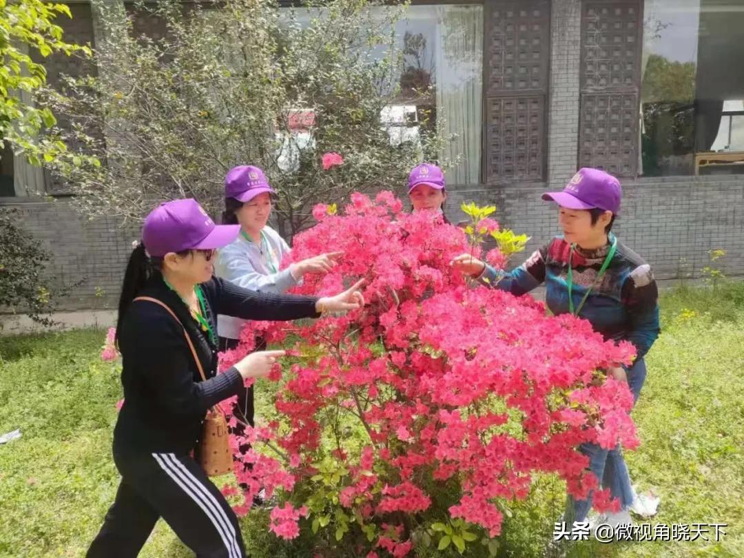 带你看看信阳的茶山美景,信阳浉河茶山直播