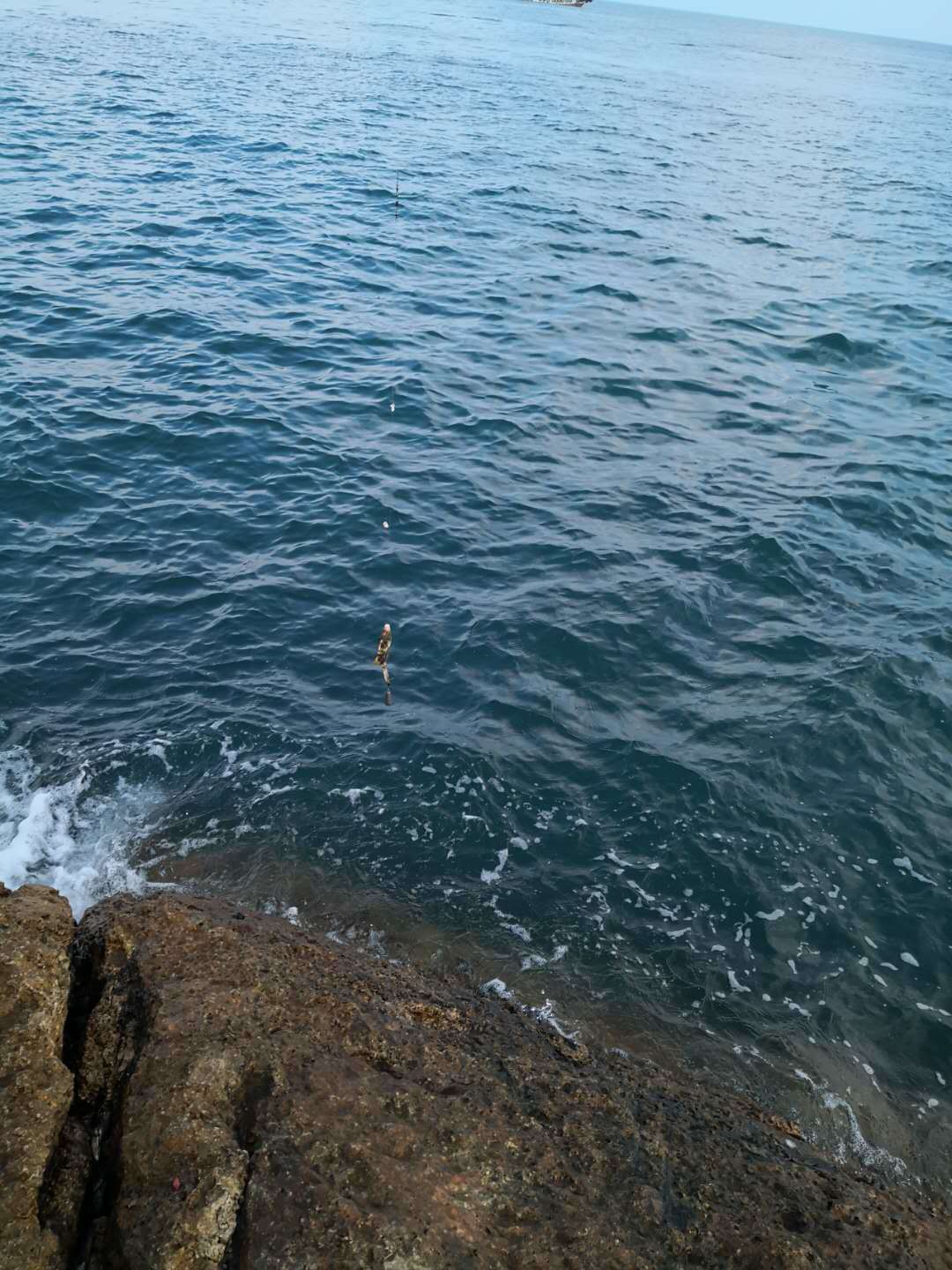 亚洲最大的海水钓场,亚洲第一钓场渔山岛