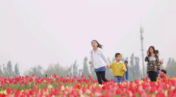 廊坊市赏花踏青第一名,廊坊赏桃花景点