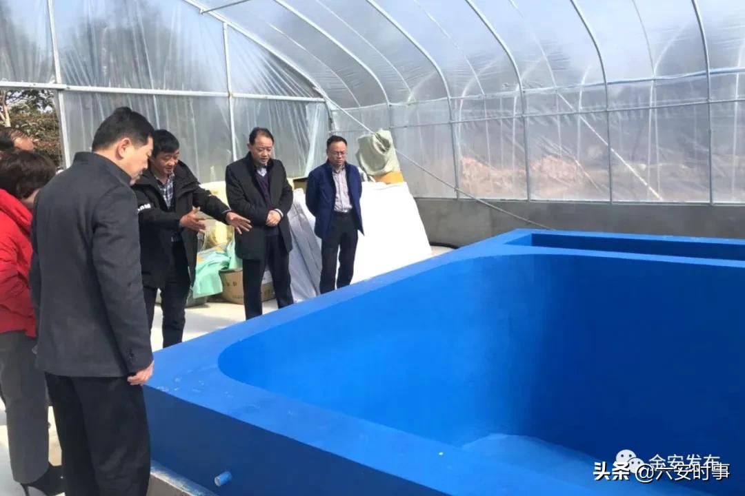 开工！“犇”起来